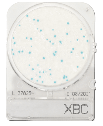 Compact_Dry_XBC_Szybki_test_odciskowy_Argenta.png