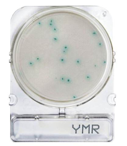 Compact Dry™ YMR  (Rapid) - gotowe do użycia płytki z pożywką do szybkiego oznaczania drożdży i pleśni