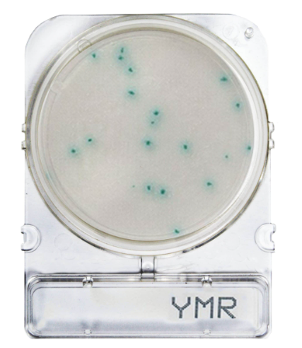 Compact Dry™ YMR  (Rapid) - gotowe do użycia płytki z pożywką do szybkiego oznaczania drożdży i pleśni