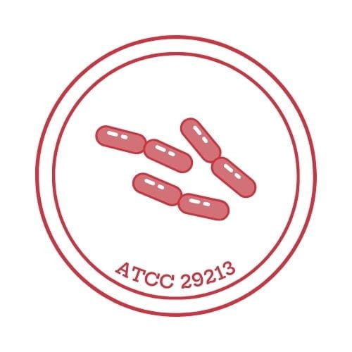 Staphylococcus aureus ATCC 29213; KWIK-STIK™; op. 2 wymazówki;