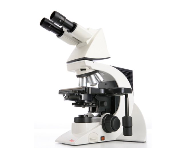 Zrzut ekranu 2024-12-20 150719.png