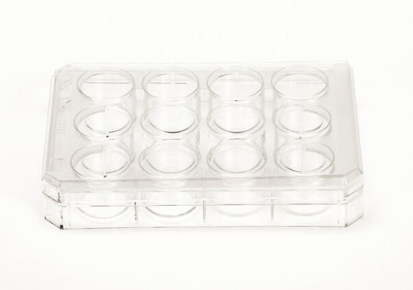 Thermo Scientific™ Nunc™ Płytka 12-dołkowa do hodowli komórkowych