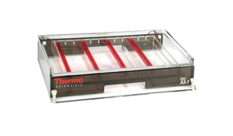 Thermo Scientific™ Owl™  A3-1 System do elektroforezy żelowej