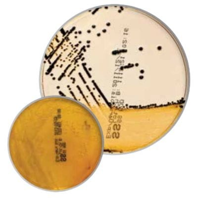 SS_Agar_gotowa_pożywka_na_płytkach_do_izolacji_Salmonelli_i_Shigella_spp_Bestlabs.jpg
