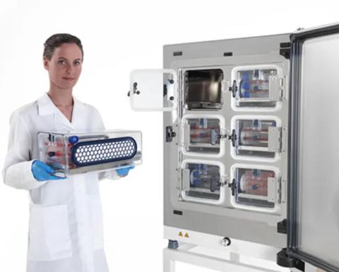 Thermo Scientific™ Heracell™ Vios™160i CO2 Inkubator z szafkami 165L