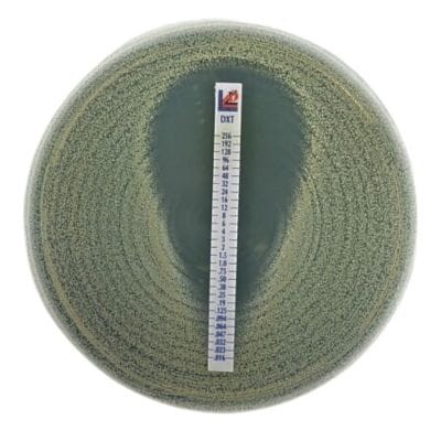 FLUCONAZOLE FLU 0,016-256 - Paski gradientowe do oznaczania wartości MIC