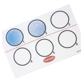 Legionella Latex Test szybki test aglutynacji lateksowej