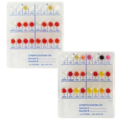 Mycoplasma System Plus - 24-studzienkowy test biochemiczny