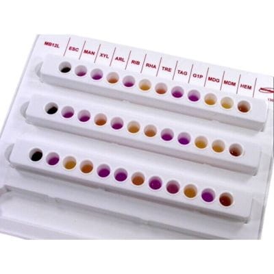 Microbact_Listeria_12_L_Kit_Bestlabs.jpg