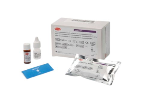 Thermo Scientific™ IMAGEN™ Zestaw Human Metapneumovirus (hMPV) test immunofluorescencyjny