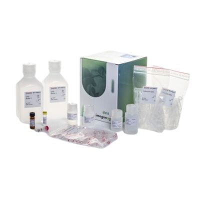 Zestaw do izolacji DNA