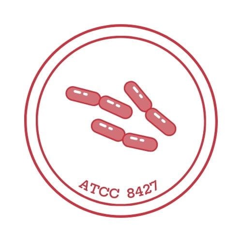 Proteus vulgaris ATCC 8427; KWIK-STIK™; op. 2 wymazówki;