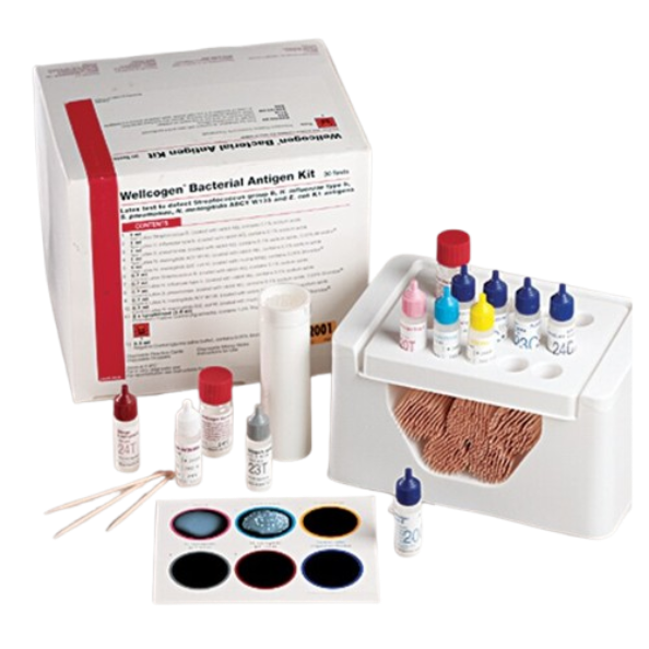 Wellcogen Streptococcus pneumoniae Test Kit test aglutynacji lateksowej