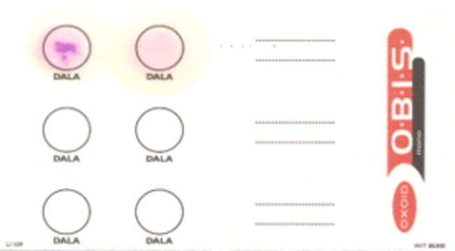 OBIS Mono szybki test kolorymetryczny do identyfikacji Listeria monocytogenes