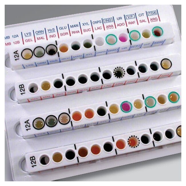 Microbat Reagent Set D 10 ml