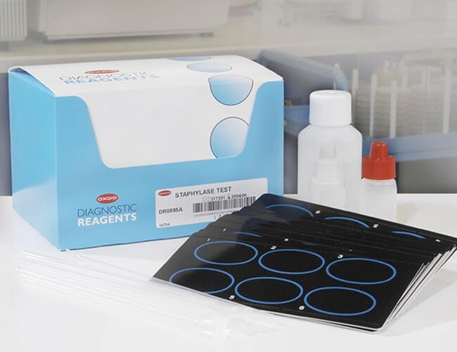 Staphylase_Test_Zestaw_testowy_Staphylococcus_aureus_Bestlabs.jpg