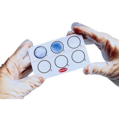 Legionella Species Test Reagent Test aglutynacji lateksowej 50szt.