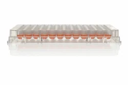 Thermo Scientific™ Nunclon™ Sphera™ 96-dołkowe mikropłytki U-kształtne 8szt.