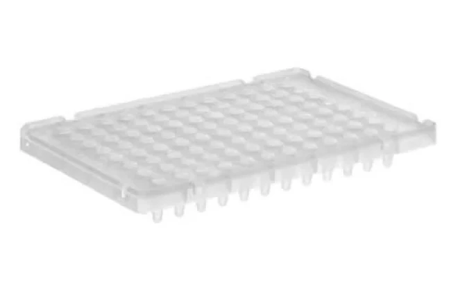 Applied_Biosystems™_MicroAmp™_Mikropłytka_96-dołkowa_do_PCR_0,1mL_argenta_bestlabs