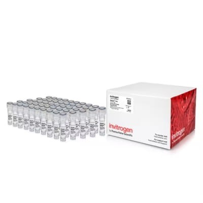 Invitrogen_RNAlater_Stabilization_Solution_Bestlabs.jpg