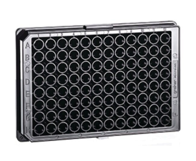 Greiner_Bio-One_Płaskodenna_mikropłytka_96-dołkowa_argenta_bestlabs