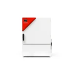 BINDER™_Inkubator_KB_63_argenta_bestlabs