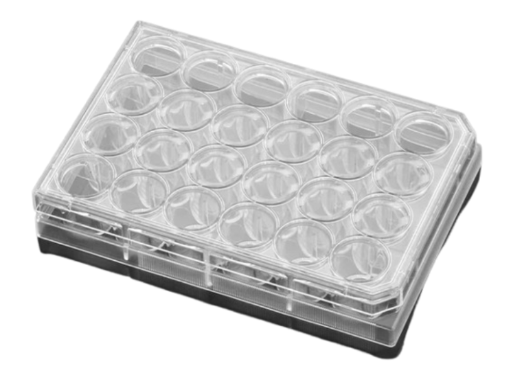 Corning® Falcon™ Płytki hodowlane 24-dołkowe Sterylne