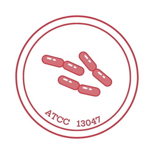 Enterobacter_cloacae_subsp_cloacae_ATCC_13047_Lab_Elite_CRM_Bestlabs.jpg