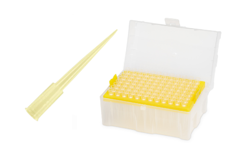 Corning® Axygen™ Uniwersalne końcówki do pipet 200μL 960szt Pudełko
