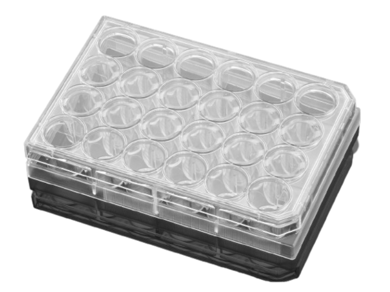 Corning® Costar™ Płytka hodowlana 24-dołkowa 50szt.