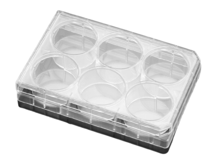 Corning® Costar™ Płytka hodowlana 6-dołkowa 50szt.