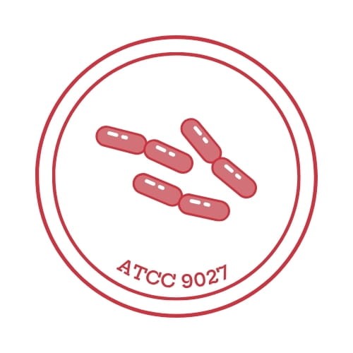 Pseudomonas_paraeruginosa_WDCM_00026_ATCC_9027_KWIK_STIK_Bestlabs.jpg