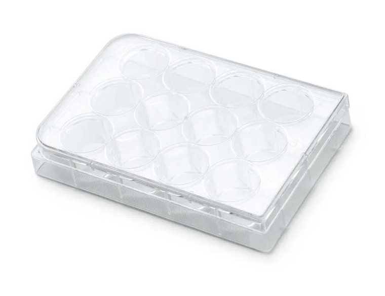 Corning® Falcon™ Płytka hodowlana 12-dołkowa 50szt.