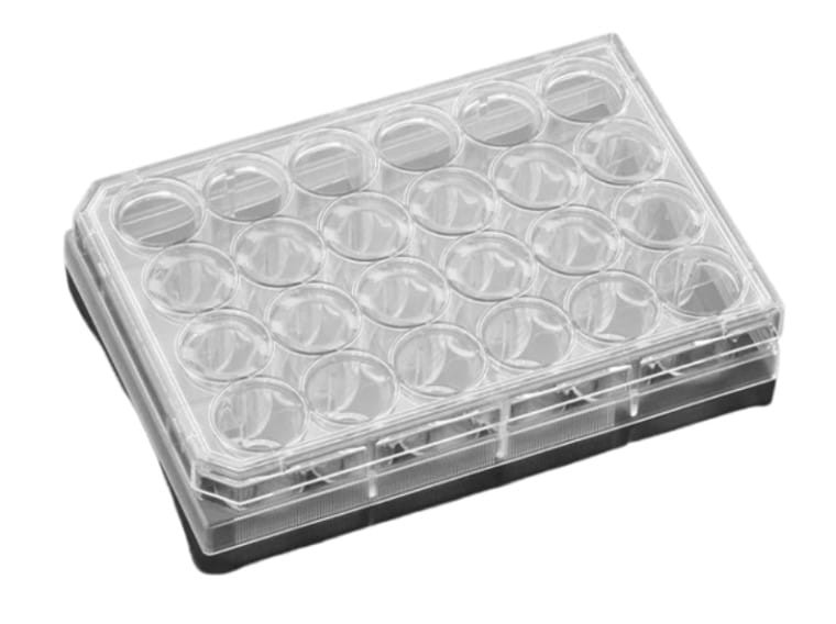 Corning® CellBIND™ Płytka hodowlana 24-dołkowa 50szt.