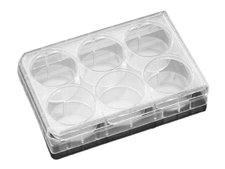 Corning® CellBIND™ Płytka hodowlana 6-dołkowa 50szt.