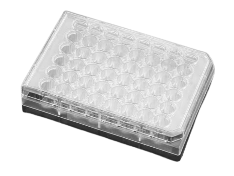 Corning® CellBIND™ Płytka hodowlana 48-dołkowa 50szt.