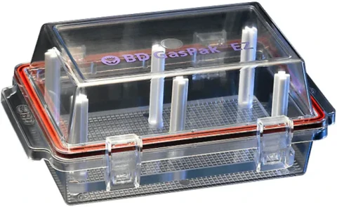 BD GasPak™ EZ Large Incubation Container pojemnik na 30-33 płytki 90mm
