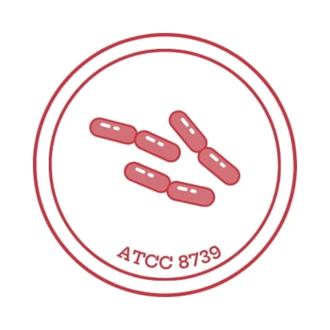 Escherichia coli WDCM 00012 ATCC 8739; EZ-CFU™ 10 peletów/fiolka 2 fiolki