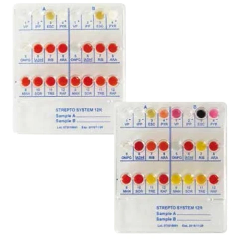 ComASP Ceftolozane-tazobactam / Ceftazidime-avibactam m 0.008/4-128/4 µg/ml / 0.008/4-128/4 µg/ml płytka do oznaczenia MIC metodą mikrorozcieńczeń op. 4 oznaczenia