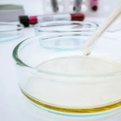 Podłoża płynne do mikrobiologii BestLabs