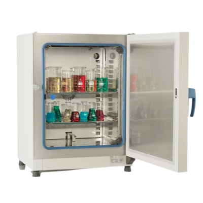 Heratherm IMH 60-S Thermo Scientific