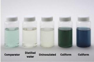 Test na E coli w wodzie