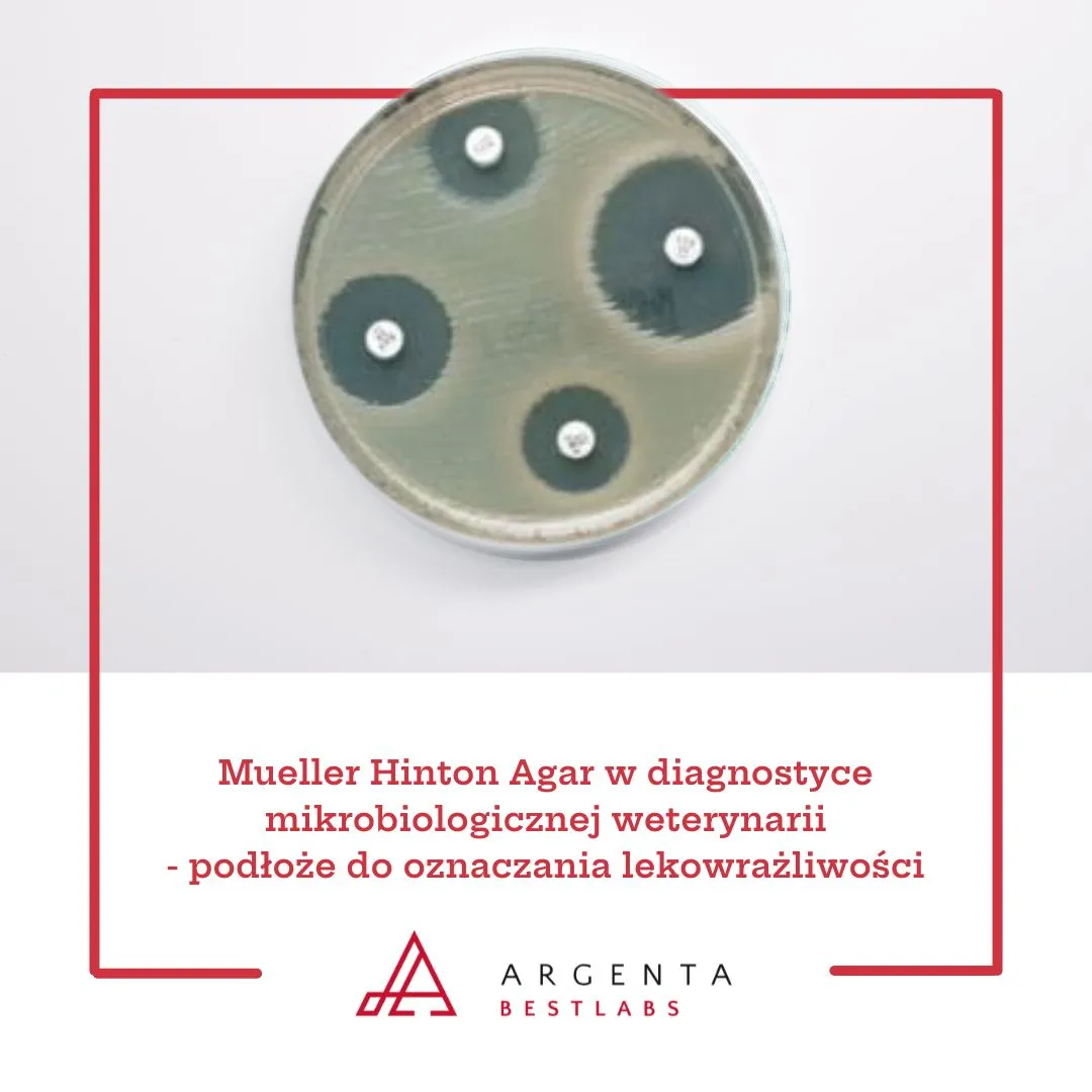 Mueller Hinton Agar w diagnostyce mikrobiologicznej weterynarii - podłoże do oznaczania lekowrażliwości