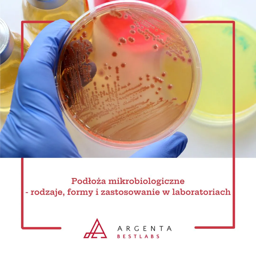 Podłoża mikrobiologiczne - rodzaje, formy i zastosowanie w laboratoriach