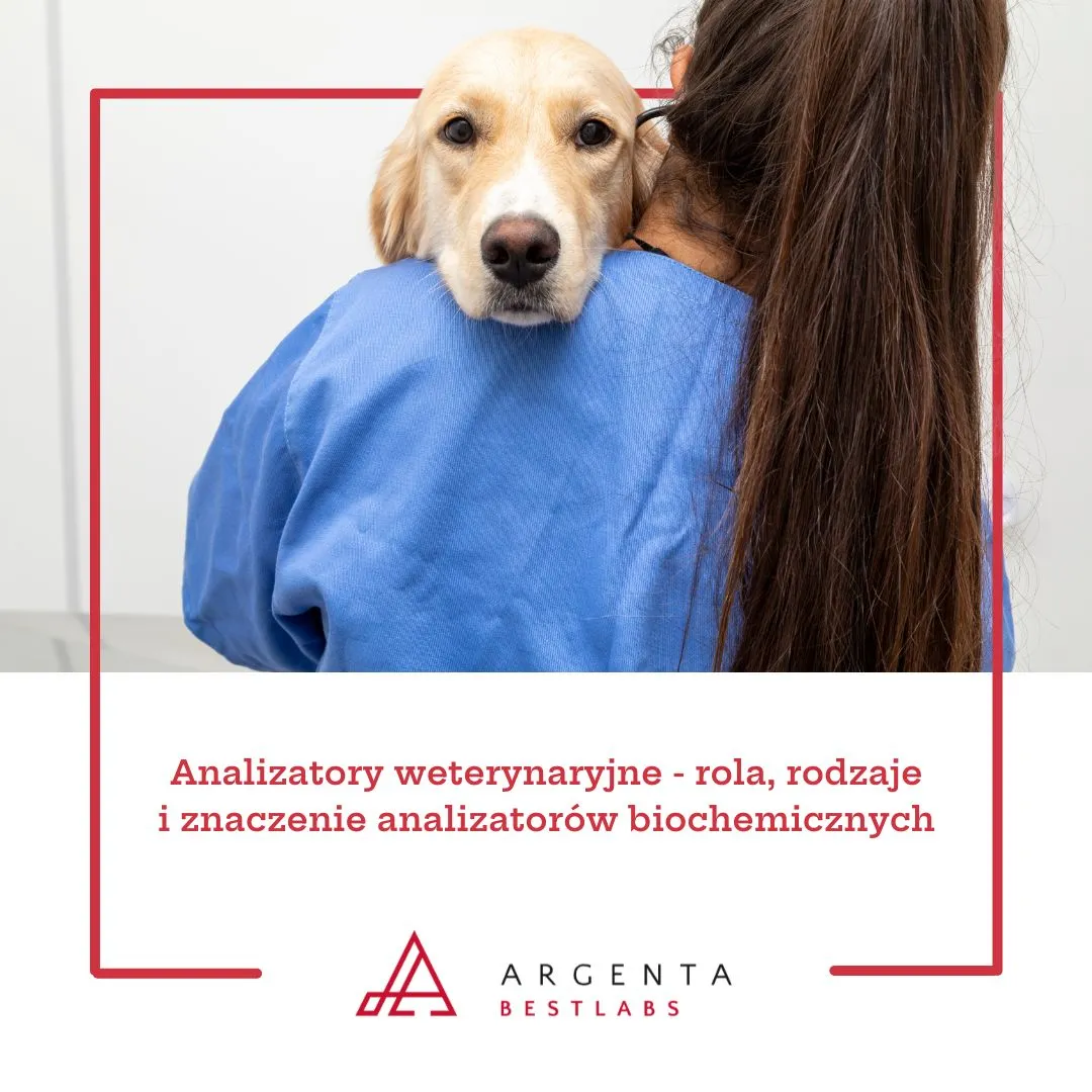 Analizatory weterynaryjne - rola, rodzaje i znaczenie analizatorów biochemicznych