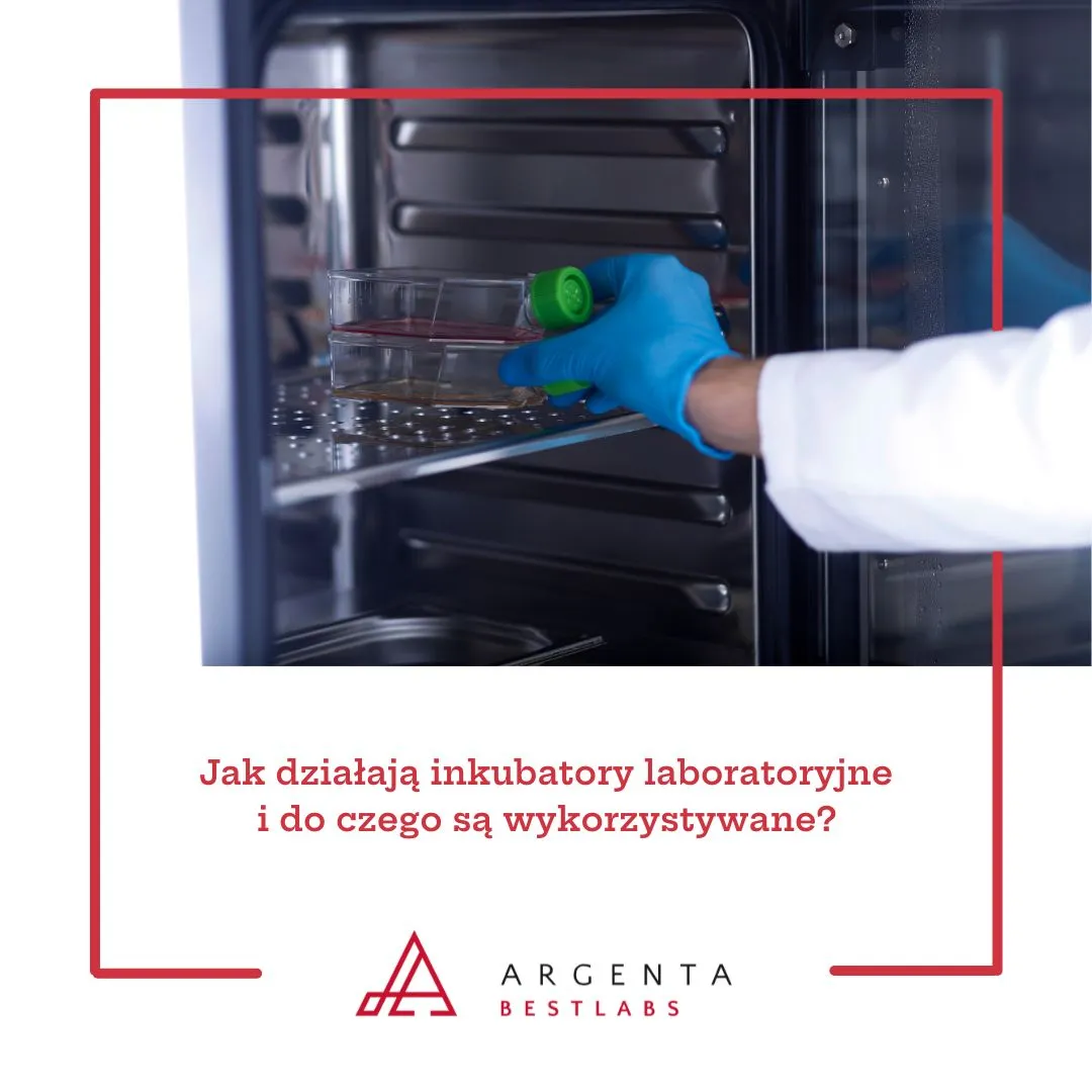 Jak działają inkubatory laboratoryjne i do czego są wykorzystywane?
