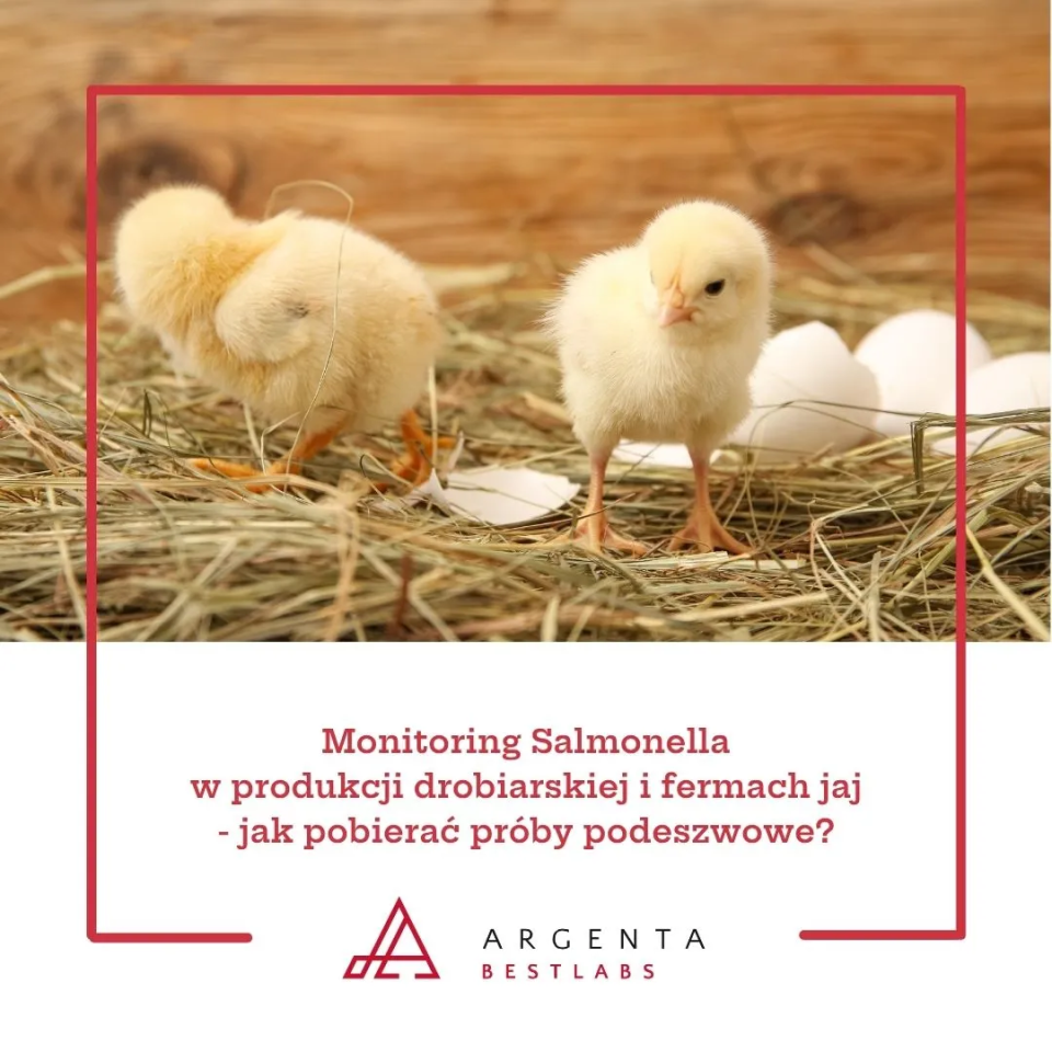 Pobór prób podeszwowych w kierunku Salmonella w przemyśle drobiarskim – mięso, jaja i środowisko produkcji
