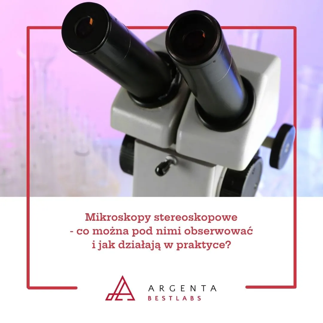 Mikroskopy stereoskopowe – co można pod nimi obserwować i jak działają w praktyce